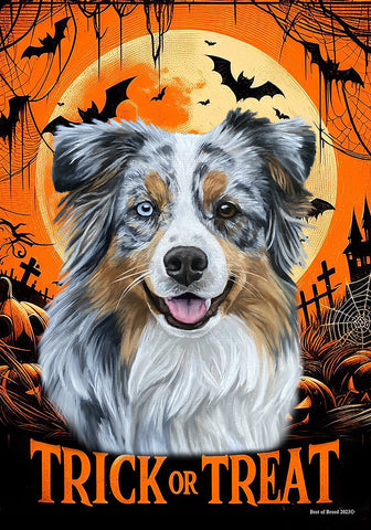 Australian Shepherd Blue Merle - Best of Breed  Halloween Outdoor House and Garden Flag