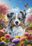 Australian Shepherd Blue Merle - Best of Breed  Spring Butterflies Outdoor House and Garden Flag