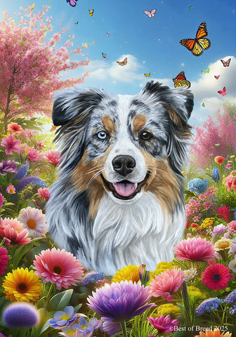 Australian Shepherd Blue Merle - Best of Breed  Spring Butterflies Outdoor House and Garden Flag