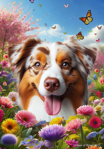 Australian Shepherd Red Merle - Best of Breed  Spring Butterflies Outdoor House and Garden Flag