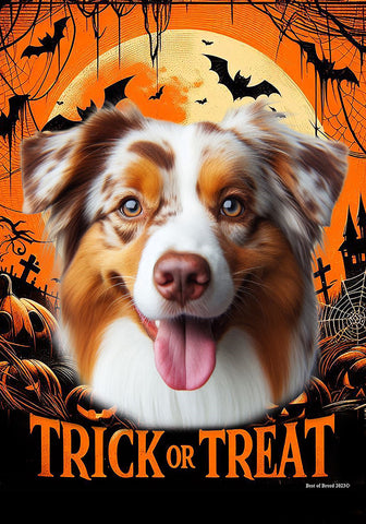 Australian Shepherd Red Merle - Best of Breed  Halloween Outdoor House and Garden Flag