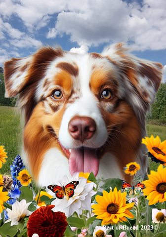 Australian Shepherd Red Merle - Best of Breed  Summer Fields Outdoor House and Garden Flag