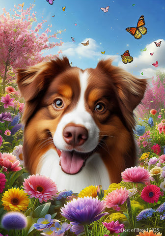 Australian Shepherd Red Tri - Best of Breed  Spring Butterflies Outdoor House and Garden Flag