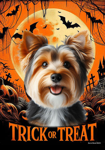 Australian Terrier - Best of Breed  Halloween Outdoor House and Garden Flag