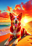 Australian Cattle Dog Red  - Best of Breed DCR Summer Sunset Outdoor House and Garden Flag