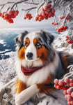 Australian Shepherd  - Best of Breed DCR Winter Berries Outdoor House and Garden Flag