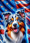 Australian Shepherd  - Best of Breed DCR Patriotic III   Outdoor House and Garden Flag