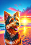 Australian Terrier  - Best of Breed DCR Summer Sunset Outdoor House and Garden Flag