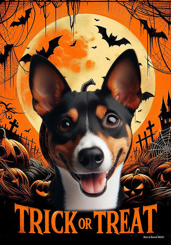 Basenji Tri  - Best of Breed  Halloween Outdoor House and Garden Flag