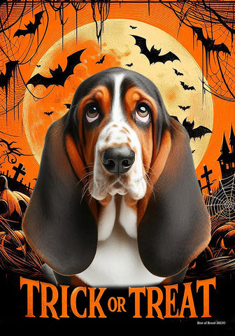 Basset Hound Open Tri - Best of Breed  Halloween Outdoor House and Garden Flag