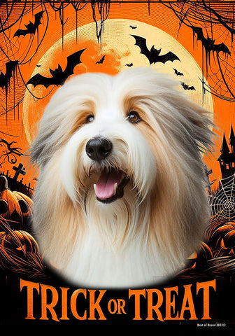 Bearded Collie Tan/White - Best of Breed  Halloween Outdoor House and Garden Flag