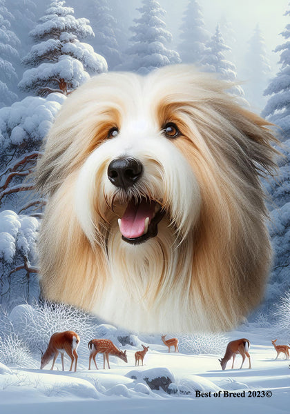 Bearded Collie Tan/White - Best of Breed  Winter Wonderland Outdoor House and Garden Flag