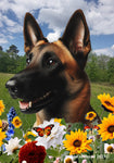 Belgian Malinois - Best of Breed  Summer Fields Outdoor House and Garden Flag s