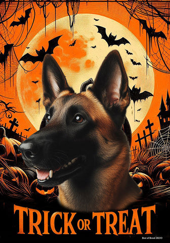 Belgian Malinois - Best of Breed  Halloween Outdoor House and Garden Flag s