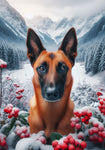 Belgian Malinois - Best of Breed DCR Winter Berries Outdoor House and Garden Flag