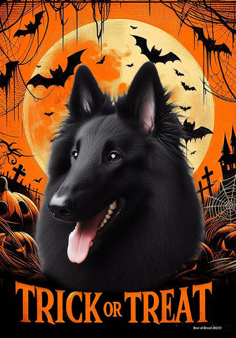 Belgian Sheepdog - Best of Breed  Halloween Outdoor House and Garden Flag