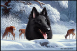 Belgian Sheepdog - Best of Breed Winter Wonderland Floor Mat Tufted Loop 18" x 27"