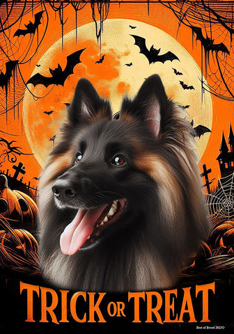 Belgian Tervuren - Best of Breed  Halloween Outdoor House and Garden Flag