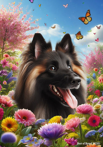 Belgian Tervuren - Best of Breed  Spring Butterflies Outdoor House and Garden Flag