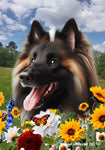 Belgian Tervuren - Best of Breed  Summer Fields Outdoor House and Garden Flag