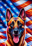 Belgian Malinois - Best of Breed DCR Patriotic III   Outdoor House and Garden Flag