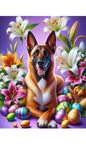 Belgian Malinois - Best of Breed DCR Easter Holiday    Outdoor House and Garden Flag