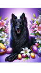 Belgian Sheepdog - Best of Breed DCR Easter Holiday    Outdoor House and Garden Flag