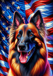 Belgian Tervuren - Best of Breed DCR Patriotic III   Outdoor House and Garden Flag