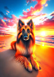 Belgian Tervuren - Best of Breed DCR Summer Sunset Outdoor House and Garden Flag