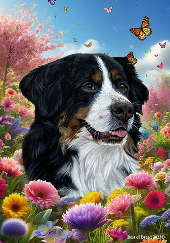 Bernese Mountain Dog - Best of Breed  Spring Butterflies Outdoor House and Garden Flag