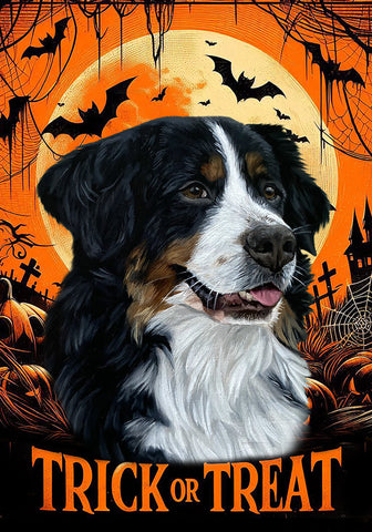 Bernese Mountain Dog - Best of Breed  Halloween Outdoor House and Garden Flag