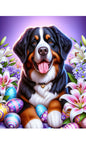 Bernese Mountain Dog - Best of Breed DCR Easter Holiday    Outdoor House and Garden Flag