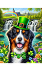 Bernese Mountain Dog - Best of Breed DCR Saint Patricks Day Day Outdoor House and Garden Flag