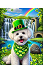 Bichon Frise - Best of Breed DCR Saint Patricks Day Day Outdoor House and Garden Flag