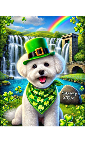 Bichon Frise - Best of Breed DCR Saint Patricks Day Day Outdoor House and Garden Flag