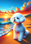 Bichon Frise - Best of Breed DCR Summer Sunset Outdoor House and Garden Flag