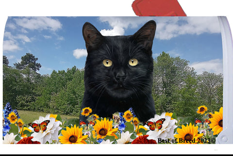 Shorthair Black Cat - Best of Breed Summer Flowers Mailbox Cover Hi-Grade Vinyl 6" x 19"