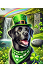 Black Labrador - Best of Breed DCR Saint Patricks Day Day Outdoor House and Garden Flag