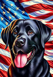 Black Labrador - Best of Breed DCR Patriotic III   Outdoor House and Garden Flag