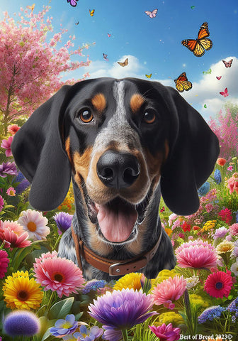 Blue Tick  Coonhound - Best of Breed  Spring Butterflies Outdoor House and Garden Flag