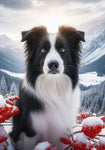 Border Collie -  Best of Breed DCR Winter Berries Outdoor House and Garden Flag