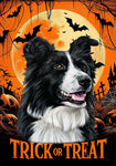 Border Collie -  Best of Breed  Halloween Outdoor House and Garden Flag