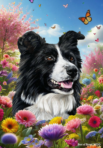 Border Collie -  Best of Breed  Spring Butterflies Outdoor House and Garden Flag