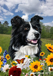 Border Collie -  Best of Breed  Summer Fields Outdoor House and Garden Flag