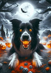 Border Collie -  Best of Breed DCR Halloween Outdoor House and Garden Flag