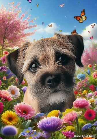 Border Terrier - Best of Breed  Spring Butterflies Outdoor House and Garden Flag