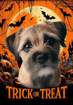 Border Terrier - Best of Breed  Halloween Outdoor House and Garden Flag