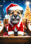 Border Terrier -  Best of Breed DCR Christmas Outdoor House and Garden Flag