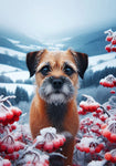 Border Terrier -  Best of Breed DCR Winter Berries Outdoor House and Garden Flag