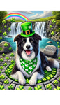 Border Collie -  Best of Breed DCR Saint Patricks Day Day Outdoor House and Garden Flag